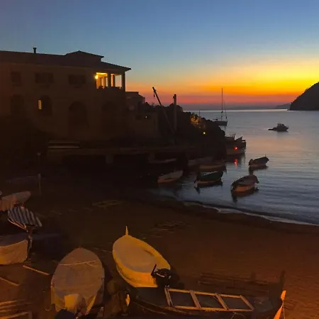 Dai Fiorentini - In *