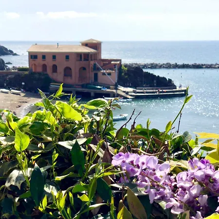 Dai Fiorentini - In *