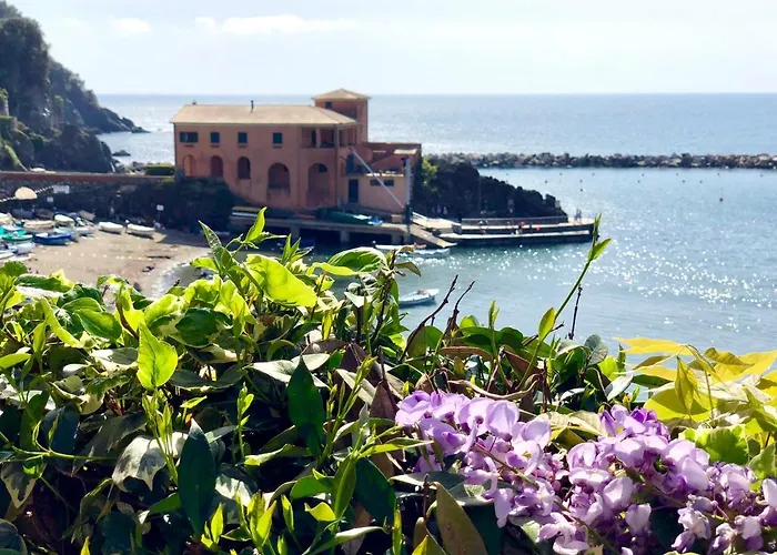 Dai Fiorentini - In *