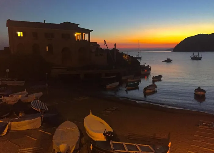 Dai Fiorentini - In *